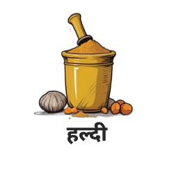 Turmeric icon
