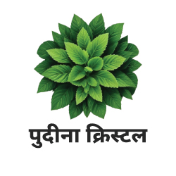 Mint icon